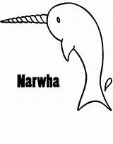 Narwhal Toothed Mouths Whales sketch template