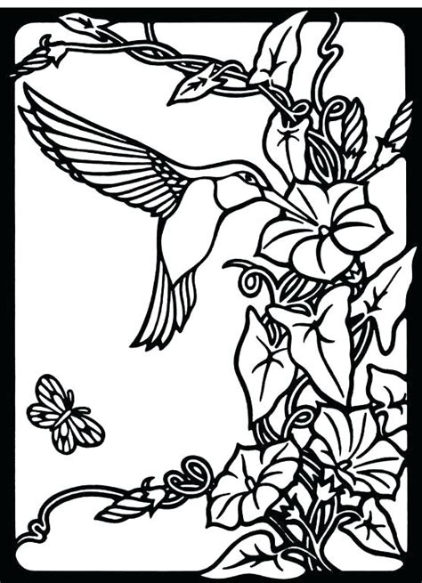 hummingbird coloring pages  adults  getcoloringscom