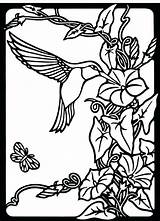 Hummingbird Coloring Pages Print Printable Color Adults Book Adult Hummingbirds Stained Glass Nature Patterns Drawing Photobucket Bird Birds Morning Windows sketch template