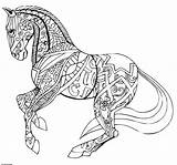 Cheval Coloriage Adulte Selah sketch template