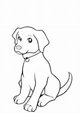 Labrador Dane sketch template