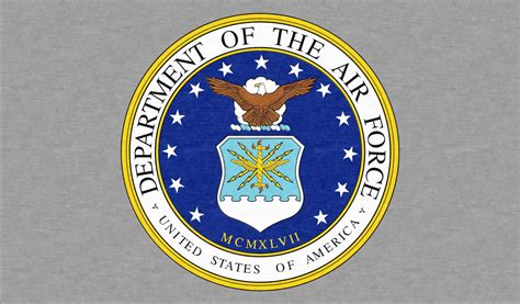 air force logo rug  rug rats