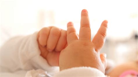 photo baby hand parent people relaxation