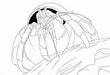 Crab Hermit Coloring Pages Printable Kids sketch template