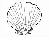 Shell Seashell Clam Urchin Pintable Preschoolers Coloringbay Albatross Template sketch template