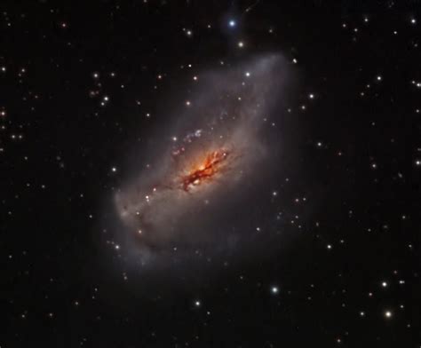 ngc   starburst galaxy  camelopardalis annes astronomy news