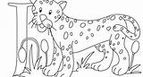 Jaguar Drawing Coloring Getdrawings Simple Pages sketch template