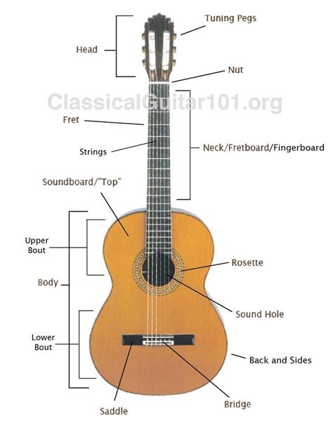 classical guitar part names  pinterest guitar parts body parts