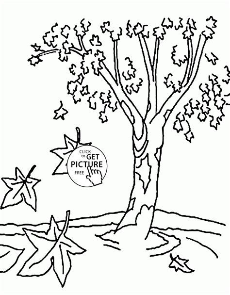 fall tree coloring pages  kids nature printables  wuppsycom