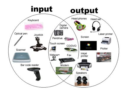 basic information   computer input  output