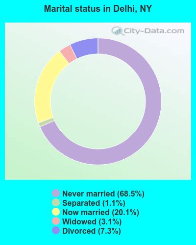 delhi new york ny 13753 profile population maps real
