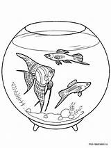 Aquarium Coloring Pages Printable Recommended sketch template