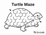 Maze Turtle Mazes Printable Kids Museprintables Preschool Kindergarten Activity Worksheets Paper sketch template