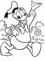 Donald Coloring Duck Disney Pages Cartoon Cartoons Animals Print Printable Drawings Library Kb Popular sketch template