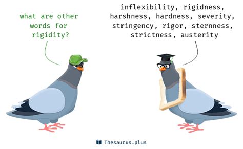 rigidity synonyms similar words  rigidity
