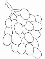 Grapes Outline Coloring Pages Purple Preschool Print Printable Getcolorings Size Color sketch template