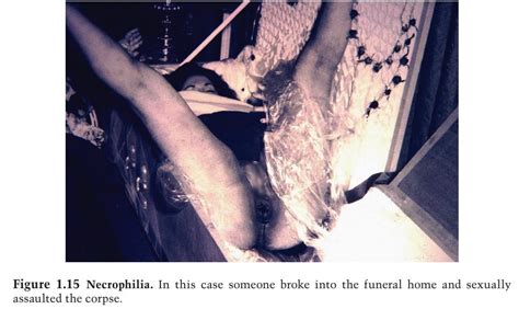 【閲覧注意】葬儀場で綺麗な女性の遺体がレ プされてしまう事件…衝撃の1枚 ポッカキット