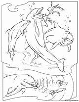 Zeedieren Kleurplaten Baleine Marins Kleurplaat Coloriages sketch template