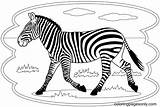 Zebra Meadow sketch template
