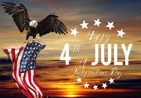 july eagle   july eagle  american flag illustration
