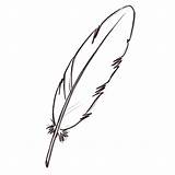 Plume Pluma Plumas Dessiner Feathers Plumes Aves Pintar Oiseau Contour Crayon Lire Dollz Heirs Cl sketch template