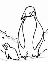 Penguin Coloring Emperor Penguins Printable Clipart Pages Baby Cliparts Template Arctic Animals Cute Cartoon Kids Colouring Swim Mother Learn His sketch template