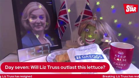 Daily Stars Lettuce Breaks Silence With Message For Truss After Her