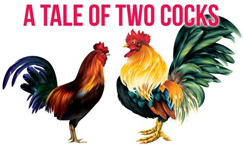 A Tale Of Two Cocks – Dating Kinky