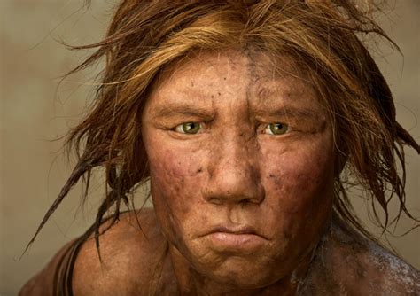 Neanderthals ‘had Sex’ With Modern Man Mathilda S