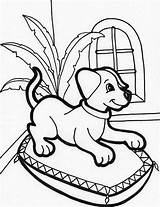 Coloring Puppy Pages Baby Printable Popular Adults Coloringhome sketch template