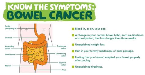 symptoms  bowel cancer