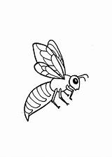 Abeille Bijen Kleurplaten Coloriage Kleurplaat Imprimer Fbfe Wasp Coloriages Animaatjes Abeilles Bienen Wesp Papillon Insectes Op Ludinet Petit Hugolescargot Insecten sketch template