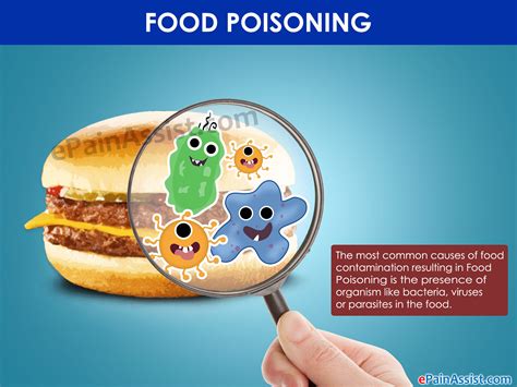 Onset Of Food Poisoning And How Long Does It Last Causes Symptom