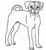 Puggle Coloring Pages Dog Template sketch template
