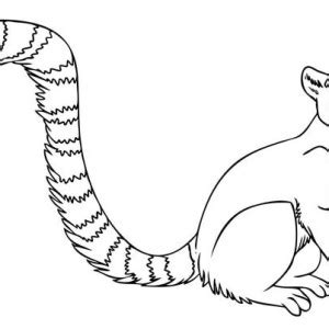 tail coloring pages    print