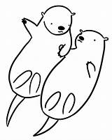 Otter Coloring Pages Sea Easy Drawing Baby Otters Daycoloring Potter sketch template