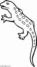 Lizard Coloringall sketch template