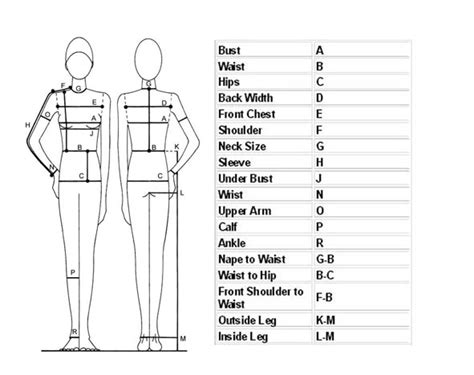 printable body measurement chart  sewing chart walls