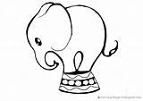 Elephant Drawing Circus Pages Drawings Baby Coloring Elephants Cartoon Easy Outline Cute Kids Getdrawings Paintingvalley sketch template