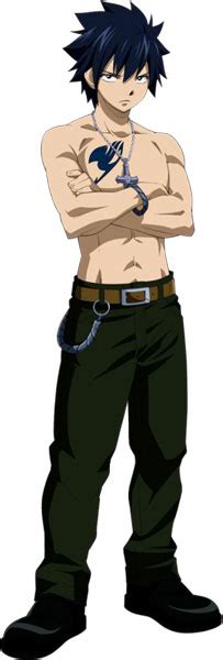Gray Fullbuster From Fairy Tail