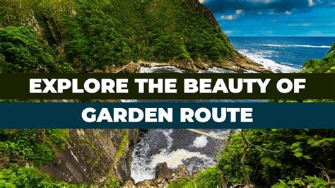 explore south africas garden route attractions activities