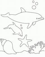 Ausmalbilder Delfine Coloring Dolphin Pages Ocean Visit Sheets Animal Patterns sketch template