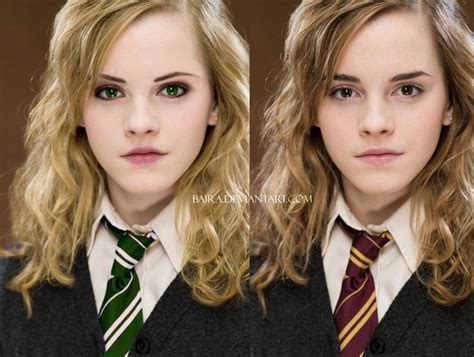 hermione granger slytherin vs gryffindor potter head