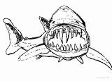 Shark Coloring Pages Jaws Teeth Outline Sharp Printable Great Template Drawing Hideous Long Color Sharky Find Kids Searches Recent Getdrawings sketch template