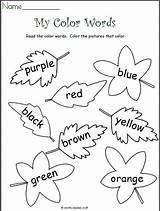 Color Leaves Worksheet Kindergarten Fall Colors Preschool Worksheets Know Coloring Madebyteachers Sheets Pre Brown Learning Lessons Literacy Activities Crayon These sketch template