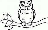 Owl Outline Drawing Coloring Popular sketch template