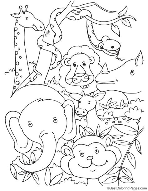 tropical rainforest animals coloring page   tropical