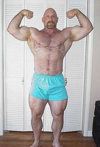 Pin On Musclebears