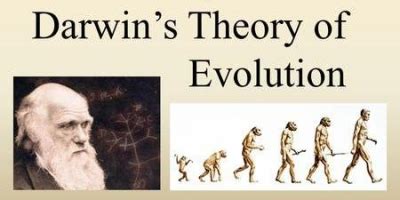 darwins theory  evolution  science school