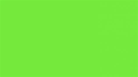 lime green wallpaper